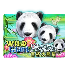 Wild Giant Panda - PLACEBET138