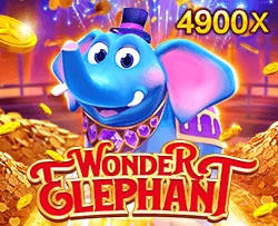 Wonder Elephant - PLACEBET138
