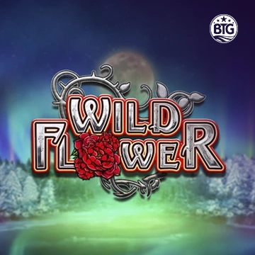 Wild Flower - PLACEBET138